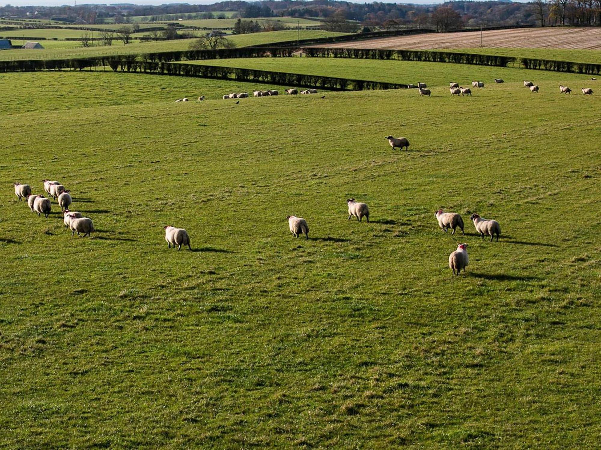 Wheatfield House Villa Kilmaurs Luaran gambar